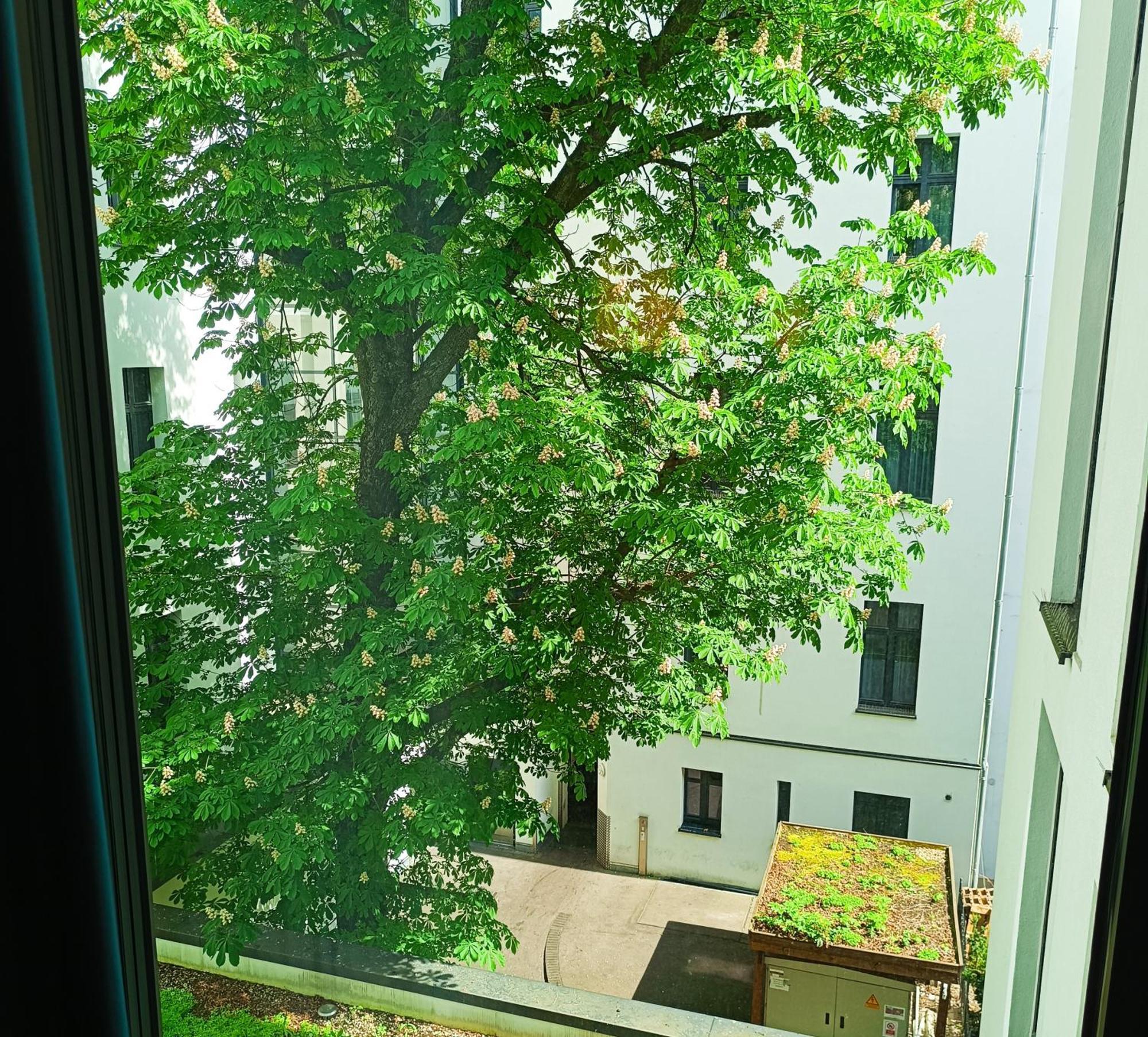 Mercure Hotel Berlin Wittenbergplatz 4* Berlim